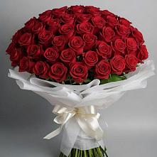 Букет 101 Красная роза Блэк Мэджик в Урвани