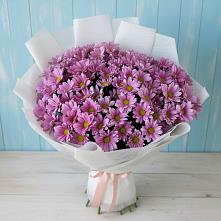 Букет цветов из:  Хризантемы #REPLACE_PRED# Урвани