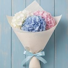 Букет цветов из:  Гортензия в Урвани