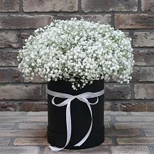 Цветочная композиция из Гипсофила в шляпной коробке #REPLACE_PRED# Урвани