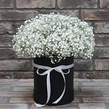 Цветочная композиция из Гипсофила в шляпной коробке в Урвани