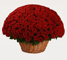 Премиум букет из: Розы в Урвани