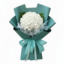Букет цветов из:  Гортензия в Урвани